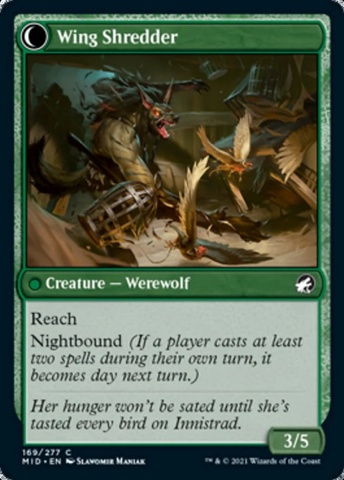 Bird Admirer // Wing Shredder [Innistrad: Midnight Hunt] - Image 2
