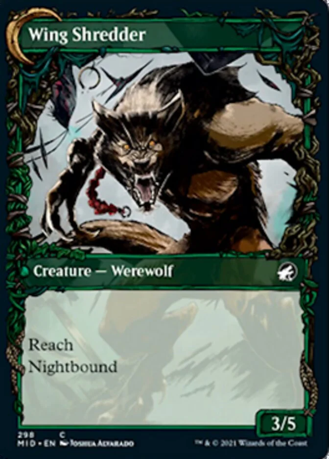 Bird Admirer // Wing Shredder (Showcase Equinox) [Innistrad: Midnight Hunt] - Image 2